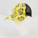 CAP01